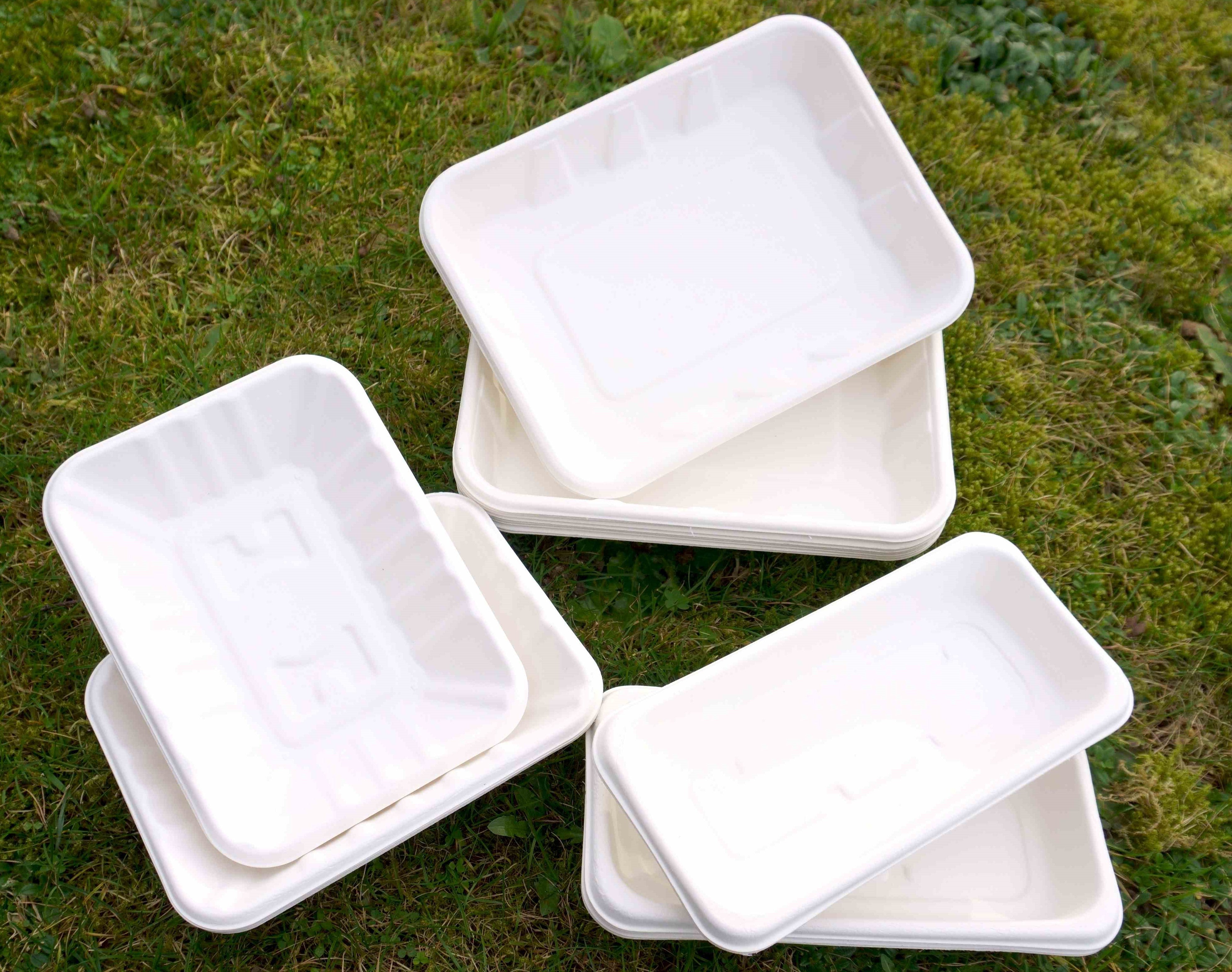 NEW! Biodegradable Food Trays – Inn Supplies