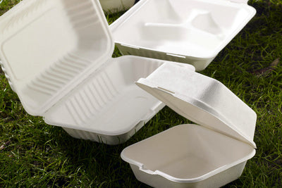 Eco-friendly Packaging Alternatives For Your Takeaway