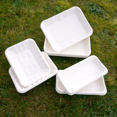 Biodegradable Bagasse Trays