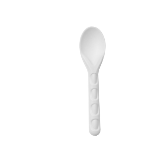 Compostable Bagasse Spoons