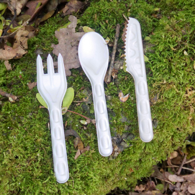 Compostable Bagasse Spoons