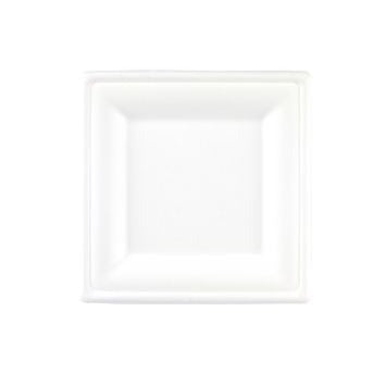 26cm Bagasse Square Biodegradable Plates