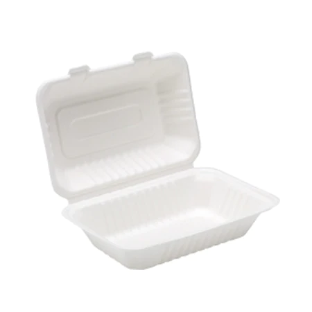 9" X 6" Bagasse Biodegradable Lunch Container
