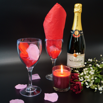 ELITE 11oz Polycarbonate Wine Glasses