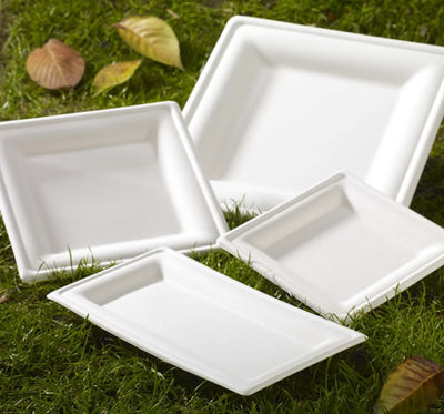 Disposable Square Plates